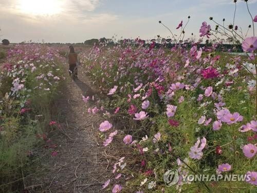 '뚜벅뚜벅 걸어요'…완주군, 걷기 좋은 길 27개 코스 발굴