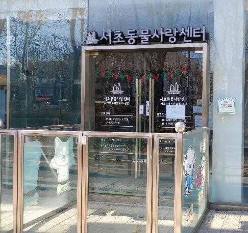 서울 서초구, 유기동물 입양비 50만원 지원