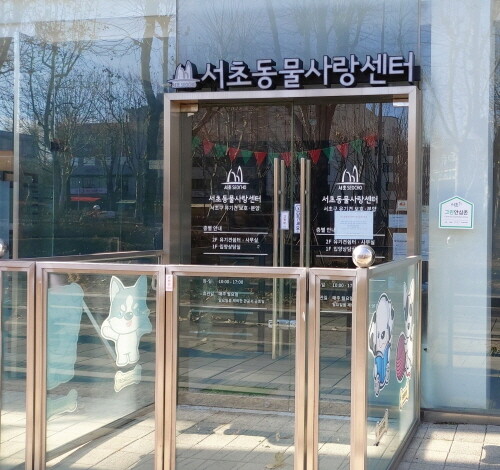 서초구, 유기동물 입양비 50만원 지원