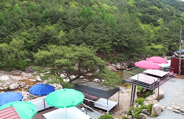 "오늘만 10여건 취소" 충북 피서지 숙박업소 거리두기 '직격탄'