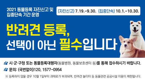 안성시, 반려동물 등록 자진신고 기간 운영