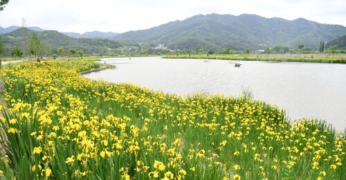 경남도, '대표 생태관광지' 괴항습지·거창창포원 2곳 추가 지정(종합)