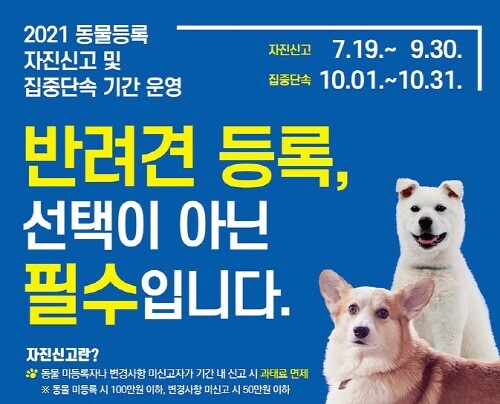 양천구, 동물등록 자진신고 기간 운영