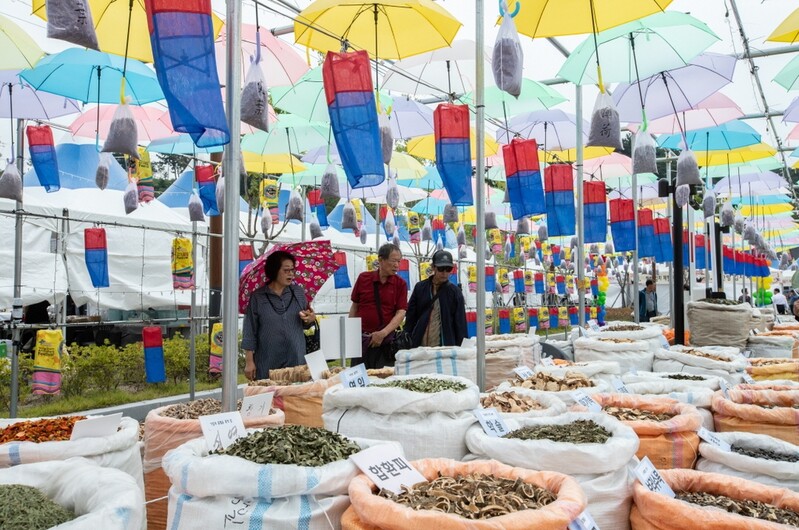"코로나19 확산 차단"…영천시 한약·과일·와인축제 취소