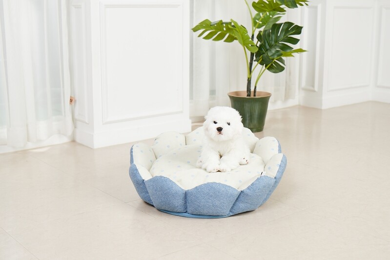 무더위에 냉감 제품 인기…반려동물 냉감방석 품절도