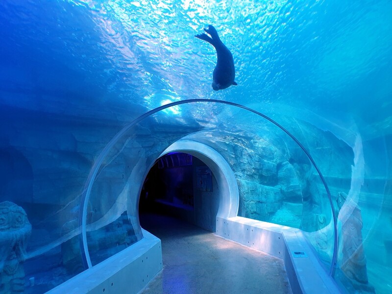 경남 첫 대형수족관 '사천 아라마루 아쿠아리움' 정식 오픈