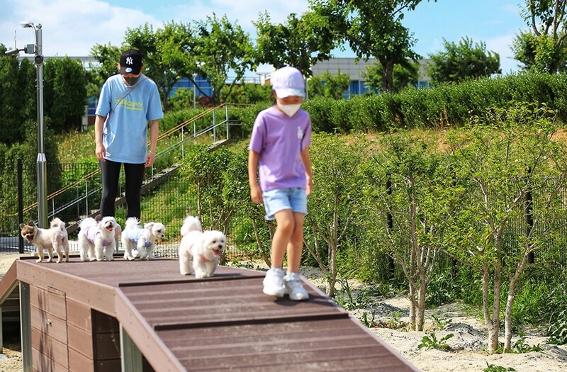 서산 반려동물 놀이터 인기…한 달간 1천200여명 찾아