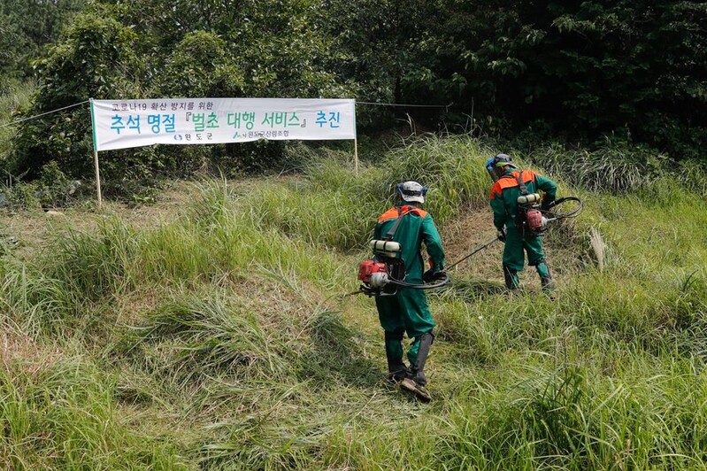 "벌초하러 오지 마세요"…완도군, 대행 서비스 추진
