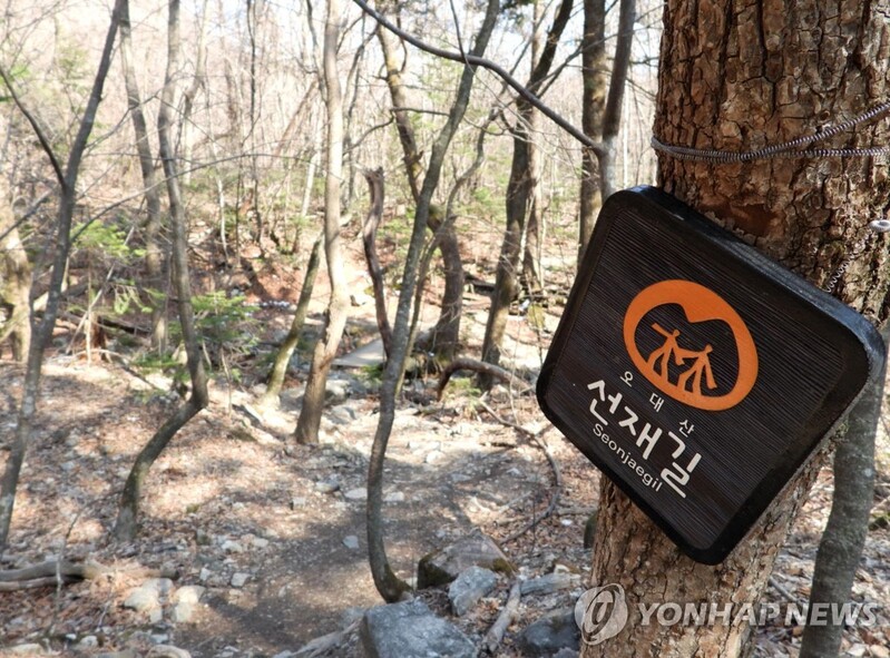 오대산 명품 숲길 선재길 10㎞ 전 구간 완전 개방