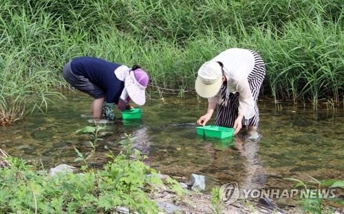 괴산 제월리에 토종어류체험관·다슬기서식처 조성