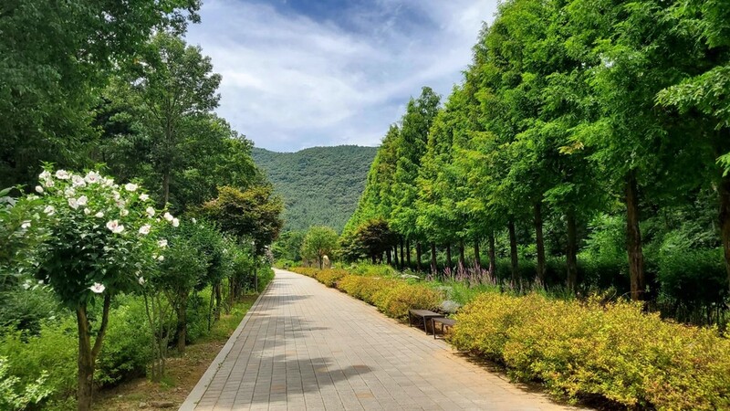 보령 무궁화수목원에 '무장애 나눔길' 조성…내달 말 완공