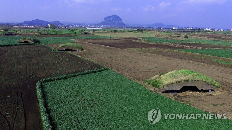 "전쟁유적 제주 알뜨르·송악산 일대 평화생태공원으로"