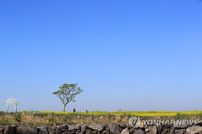 "핫플레이스 이번만 참으세요" 코로나19 안전 제주 여행법