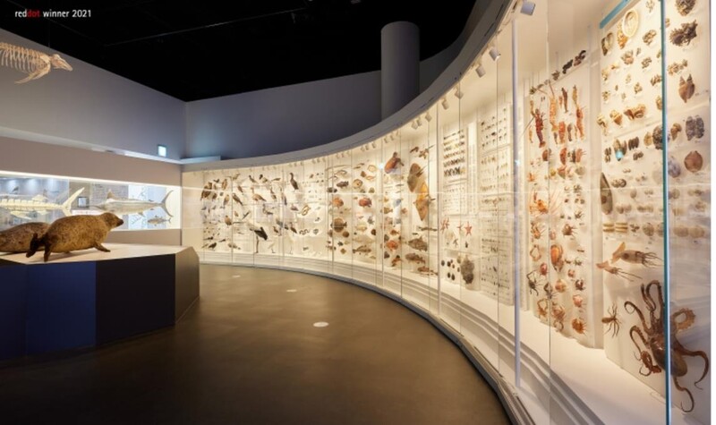 호남권생물자원관 전시 디자인, '레드닷 어워드' 본상 수상
