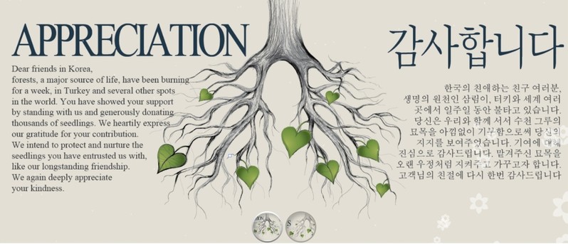 "한국 친구 감사합니다" '김연경 묘목' 선물에 터키단체 감사 글