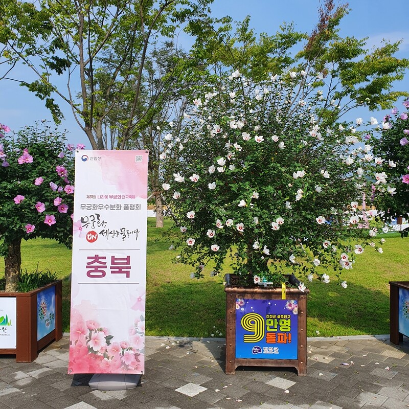 '무궁화 우수분화 품평회' 대상에 충북도 선정