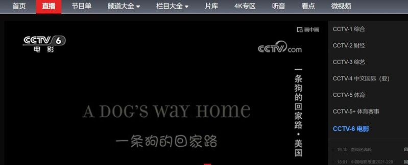미군 아프간철수 조롱?…中, 美영화 '개의 귀갓길' 방영