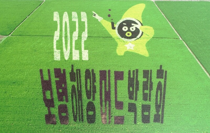 [픽! 보령] 대천간척지 수놓은 보령해양머드박람회 논그림