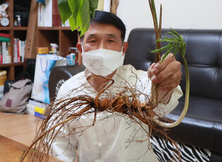 [Hallyupedia] Shimmani (심마니)