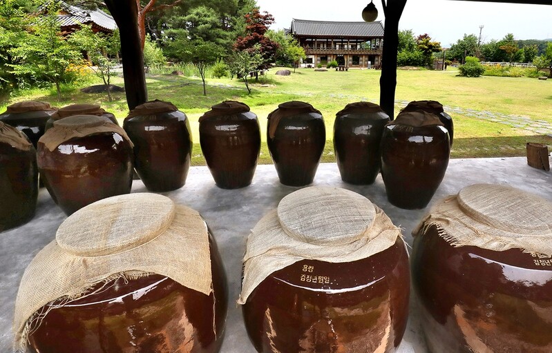 [酒먹방] 세월과 함께 익어가는 술 향기