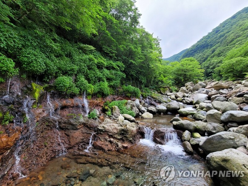 제주 지하수 생성 '너와모델' 제시…"너와지붕 빗물 흐름 유사"