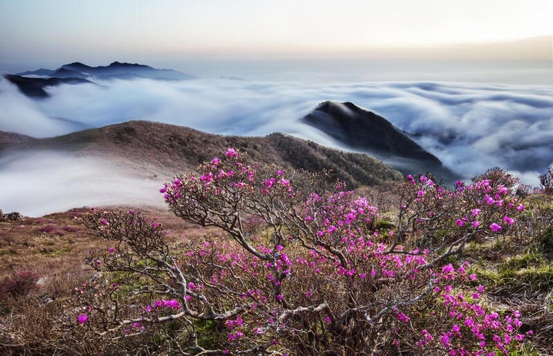 산악사진가 이윤승 작가 '덕유산 사계 사진전' 27일 개막
