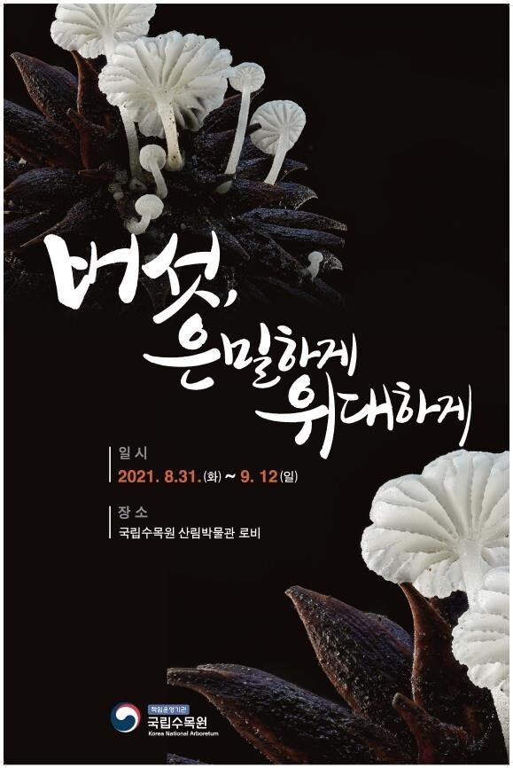 국립수목원 '은밀하고 위대한' 버섯 전시
