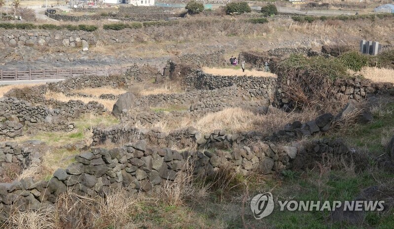 제주4·3 유적 중문 신사터에 역사기념관 건립한다