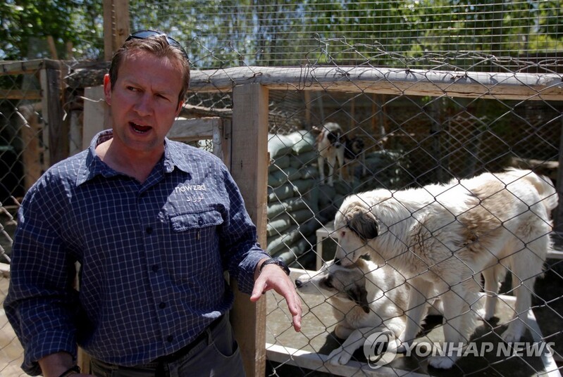 유기동물 100여마리와 아프간 탈출한 영국인…직원들은 못나와