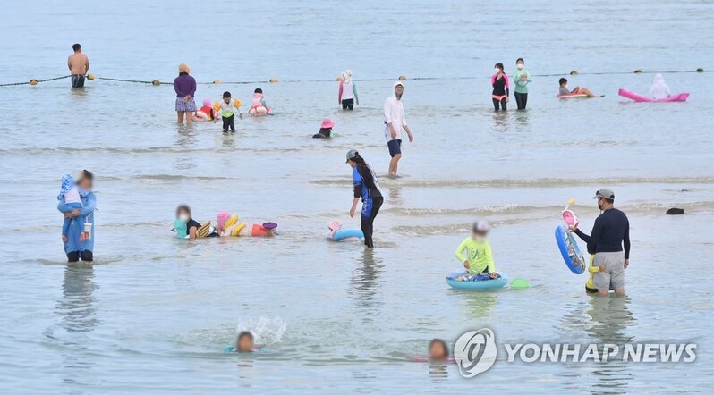 코로나 대유행 속 제주 해수욕장 이용객 8％ 감소