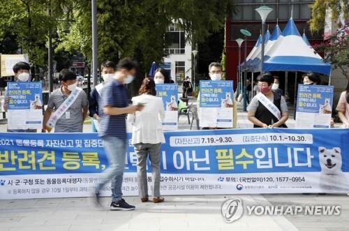 "반려견 등록 신고하세요"…전북도, 30일까지 과태료 면제