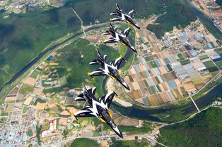 S.Korean air force team 'Black Eagles' to celebrate the opening of '2021 Wild Ginseng Anti-aging Expo'