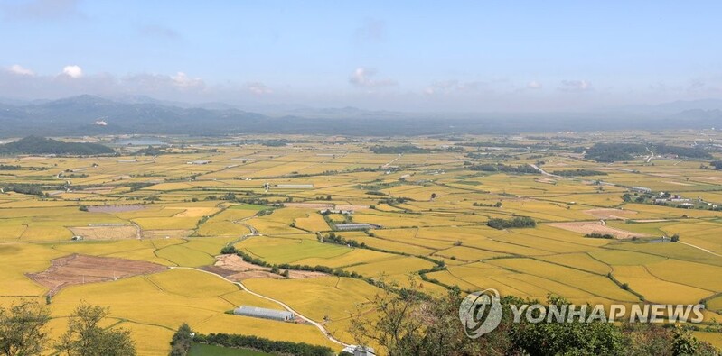[사진톡톡] 철원 접경지역은 벌써 가을 정취 '물씬'