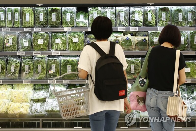 삼겹살보다 비싸더니…상추 도매가 일주일새 30% 안팎 하락