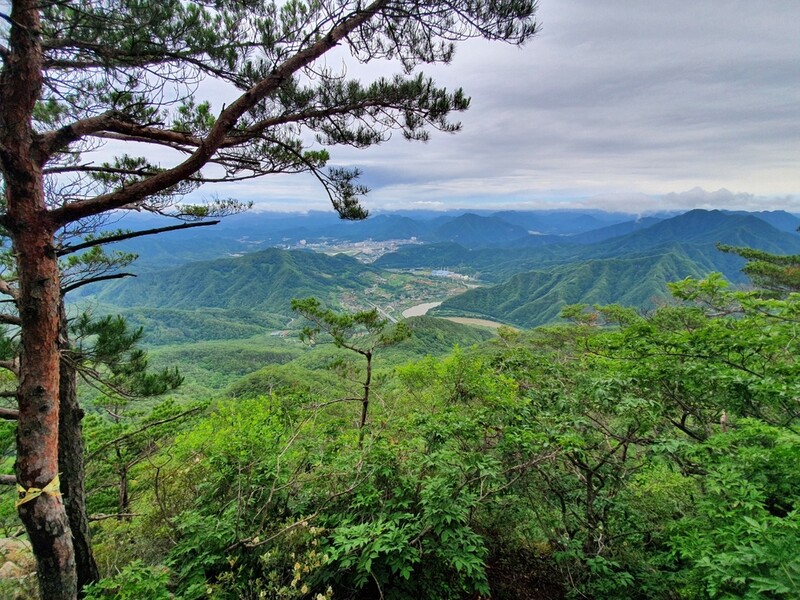 영월 '태화산 경관 숲' 9월의 국유림 명품 숲 선정
