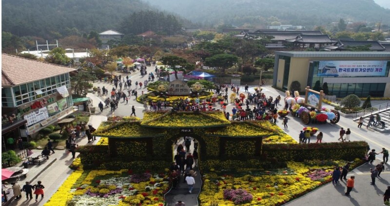 영암군, 가을철 '월출산국화·마한 축제' 취소
