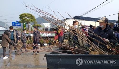 개최 요원해진 '옥천 묘목엑스포'…충북도 지원 없인 불가능