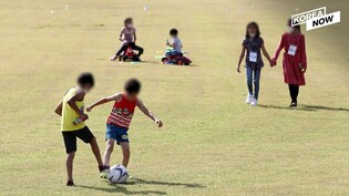 How are Afghan evacuees doing in S. Korea?