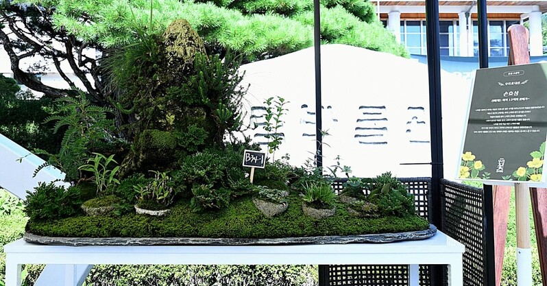 '신에게는 아직 12척의 꽃 배가' 국립수목원 꽃 공모전 대상