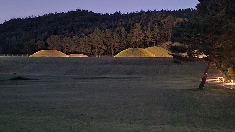 부여 왕릉원에 조명 설치…"밤에도 산책 즐기세요"