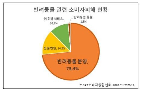 작년 반려동물 소비자 상담 10건 중 7건은 분양 피해