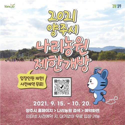 양주시 '천일홍 군락지' 나리공원 한시 개방…하루 9천명 제한