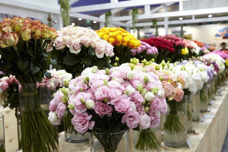 고양꽃박람회, 연말까지 경기도 농산물 해외시장 개척사업