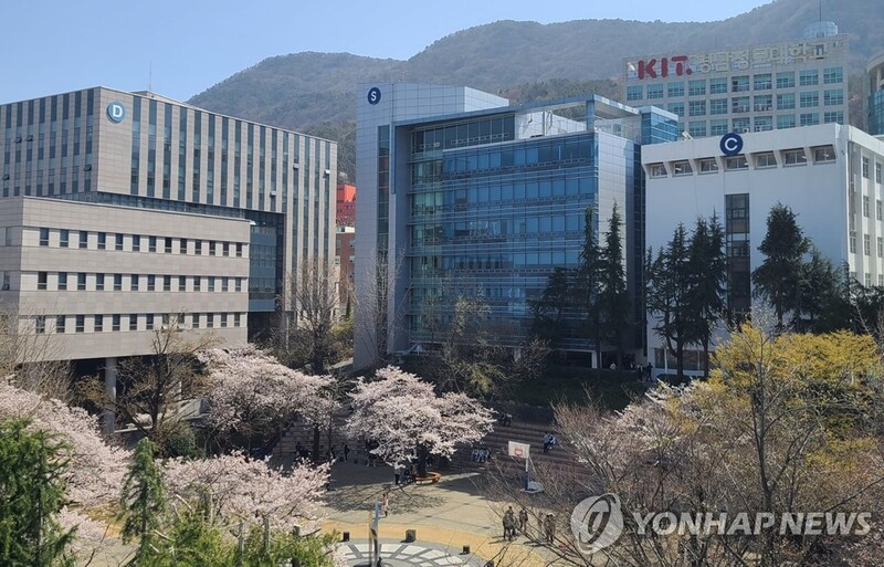 '변해야 산다' 신입생 모집 비상 전문대 학과 개편 바람