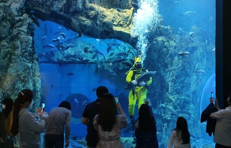 충북 민물고기 아쿠아리움 각축전…단양 이어 괴산·충주도 추진