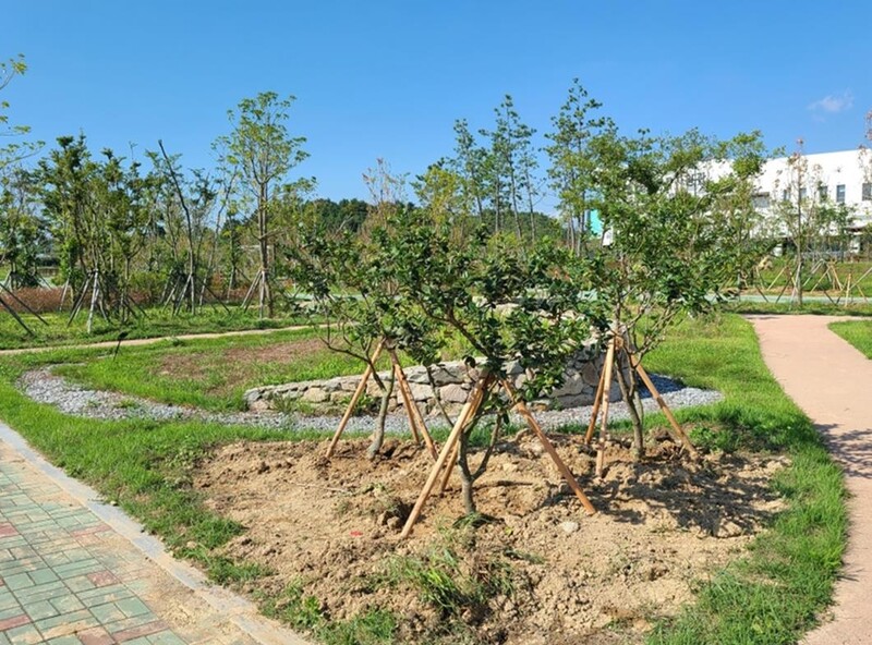 호남권생물자원관, 완도수목원 난대림 수목 14종 도입