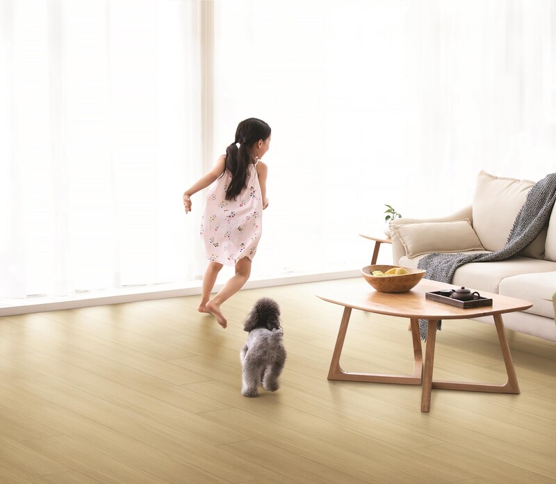 [게시판] 한솔홈데코, 반려동물 위한 '한솔펫마루' 출시