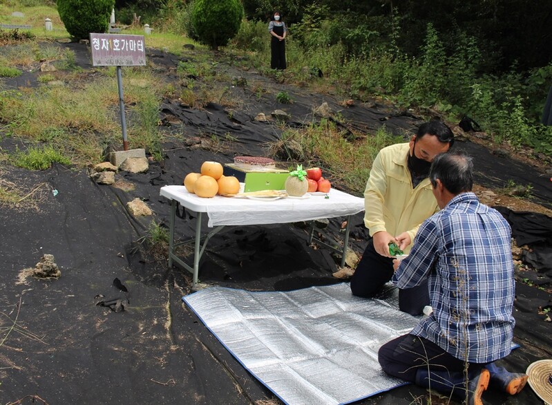 고흥군, 운대리 청자 1호 가마터서 발굴조사 착수