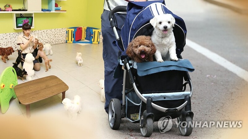 내달 1일부터 미등록 반려견 집중단속…"자진신고 서두르세요"