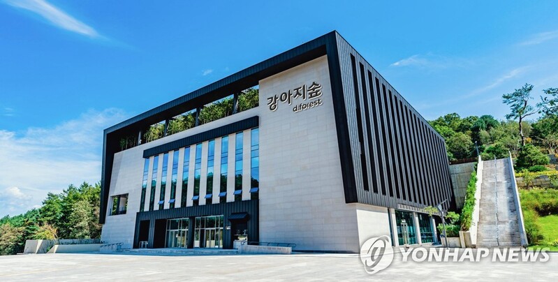 '반려견과 동행'…춘천서 도그페스타 내달 2∼3일 개최